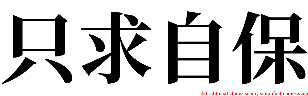 只求自保 serif font