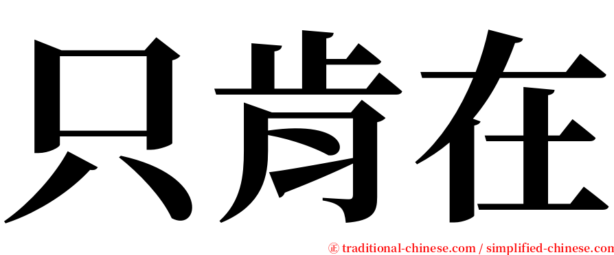 只肯在 serif font