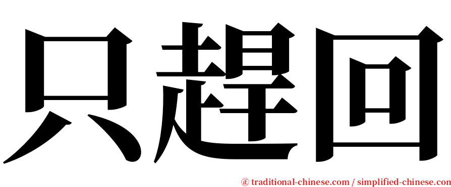 只趕回 serif font