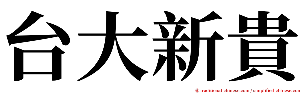 台大新貴 serif font