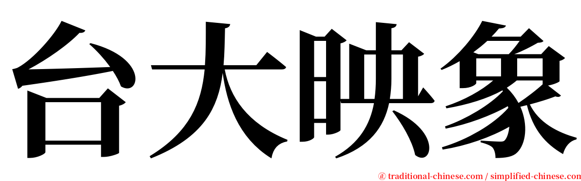 台大映象 serif font