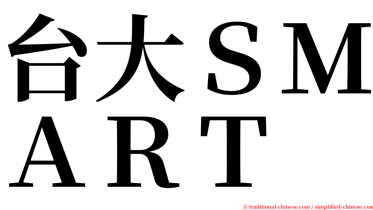 台大ＳＭＡＲＴ serif font