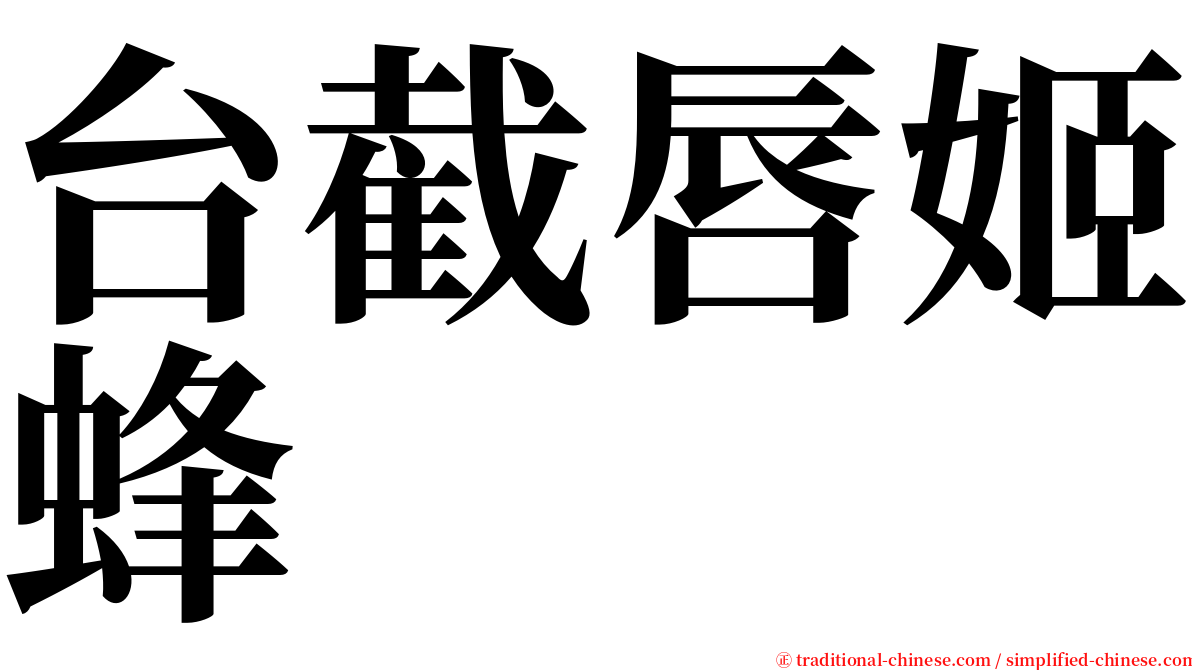 台截唇姬蜂 serif font