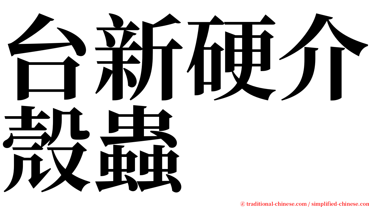 台新硬介殼蟲 serif font