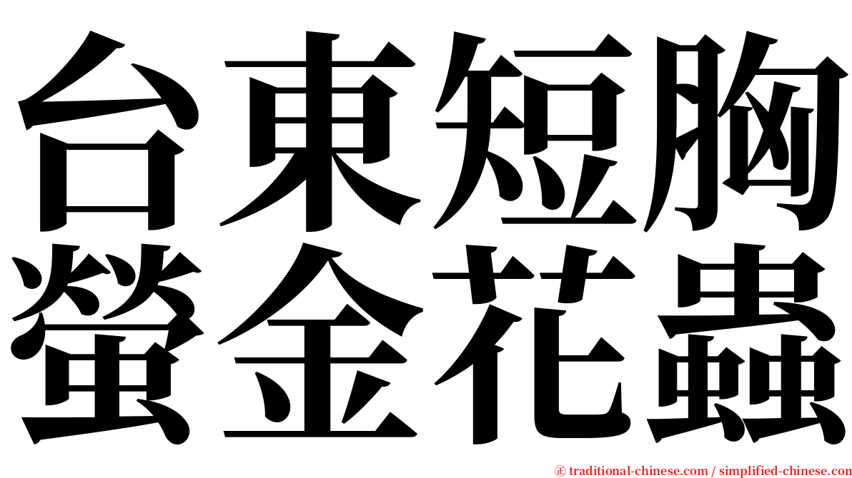 台東短胸螢金花蟲 serif font