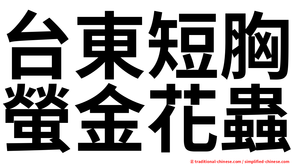 台東短胸螢金花蟲