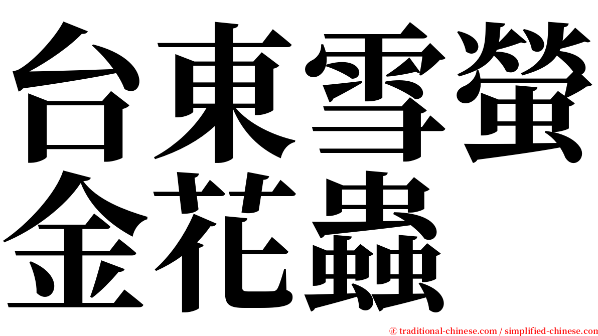 台東雪螢金花蟲 serif font