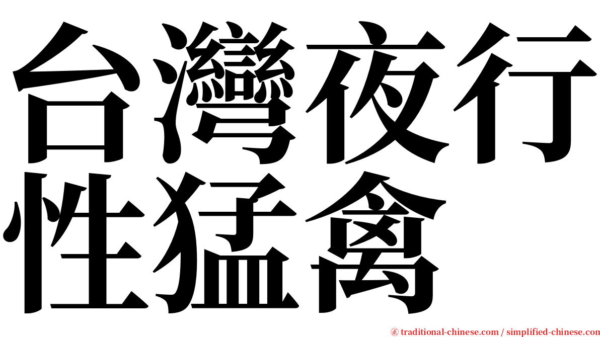 台灣夜行性猛禽 serif font