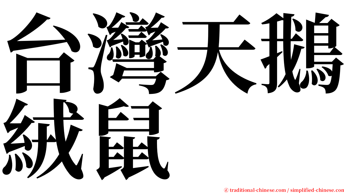 台灣天鵝絨鼠 serif font