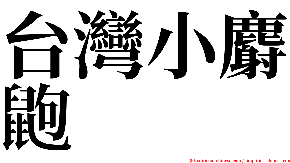 台灣小麝鼩 serif font