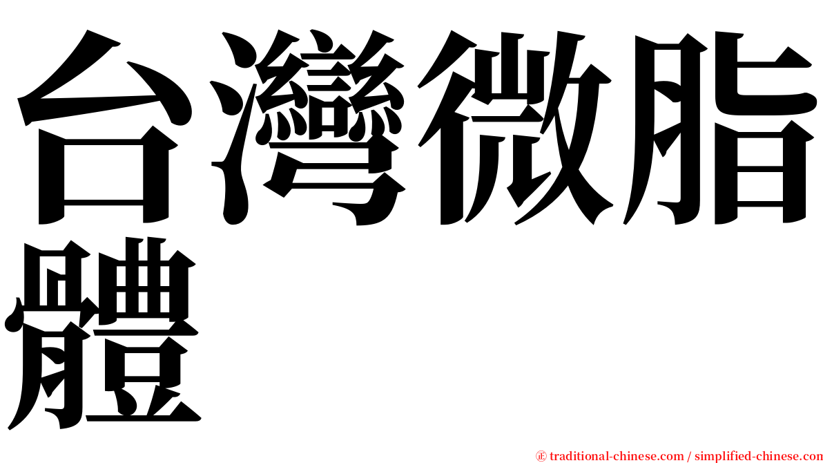 台灣微脂體 serif font