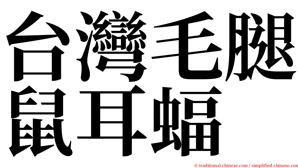 台灣毛腿鼠耳蝠 serif font