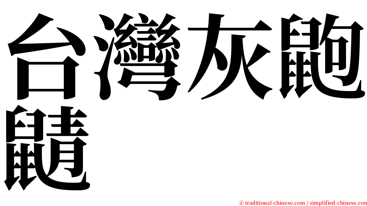 台灣灰鼩鼱 serif font
