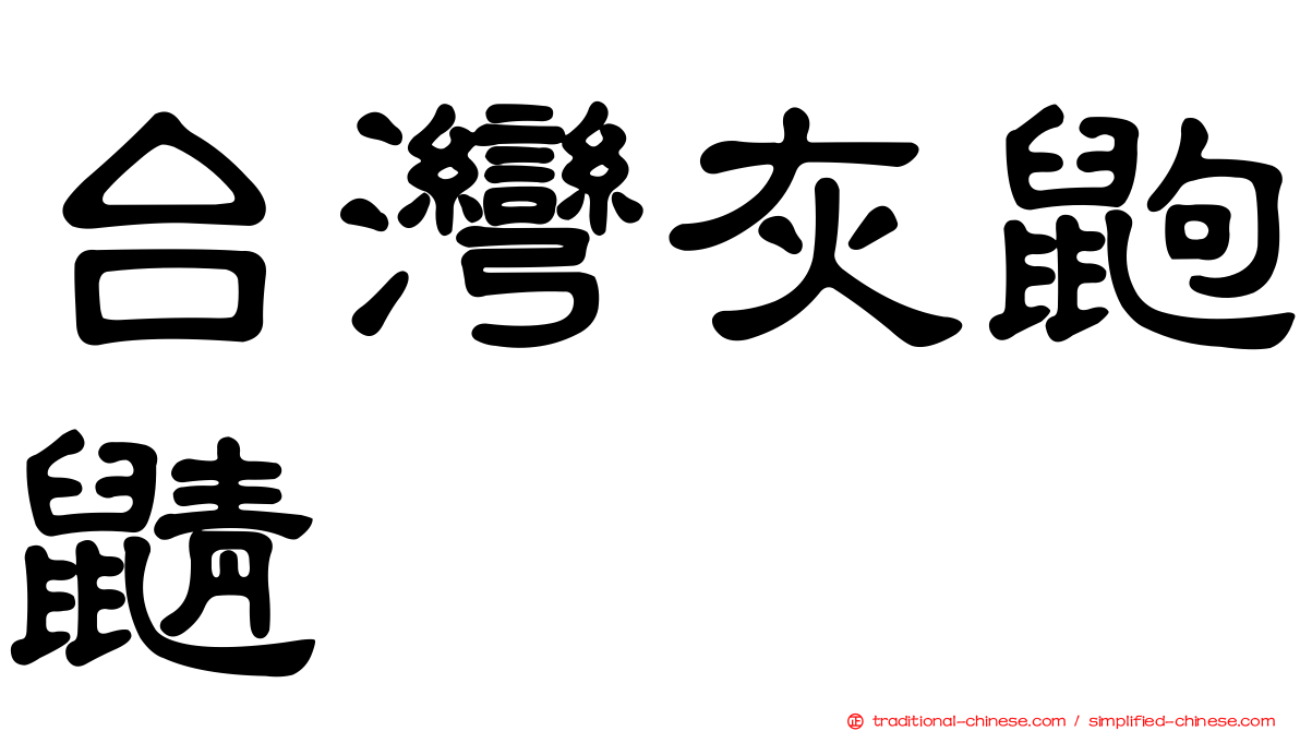 台灣灰鼩鼱