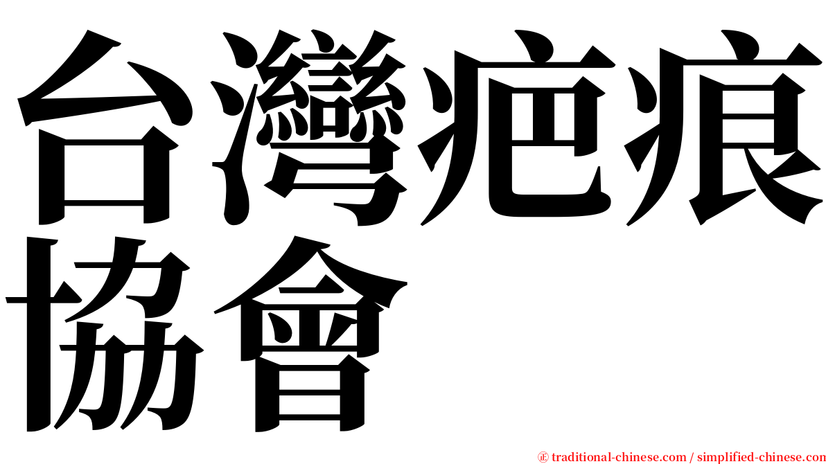 台灣疤痕協會 serif font