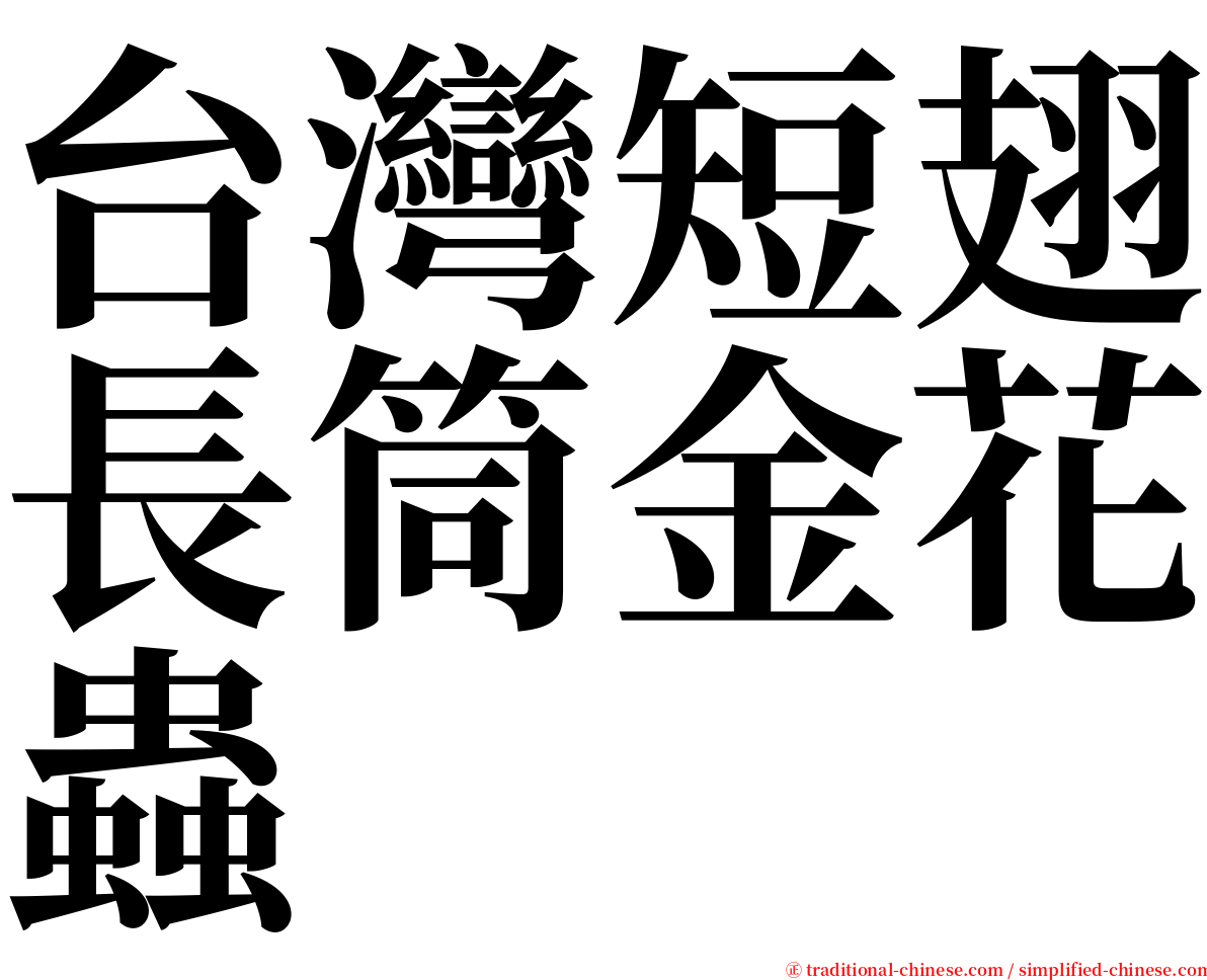 台灣短翅長筒金花蟲 serif font