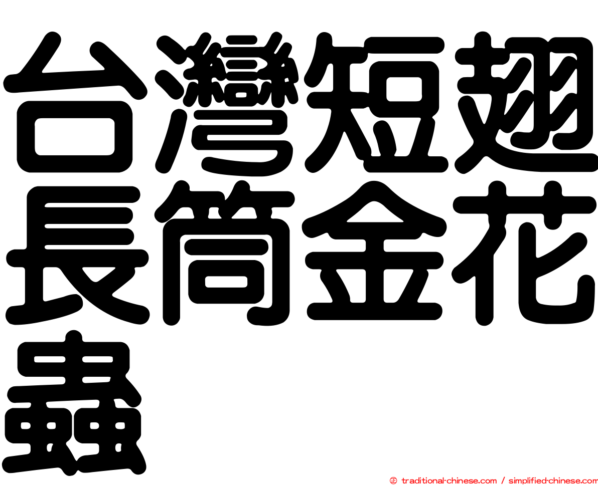 台灣短翅長筒金花蟲