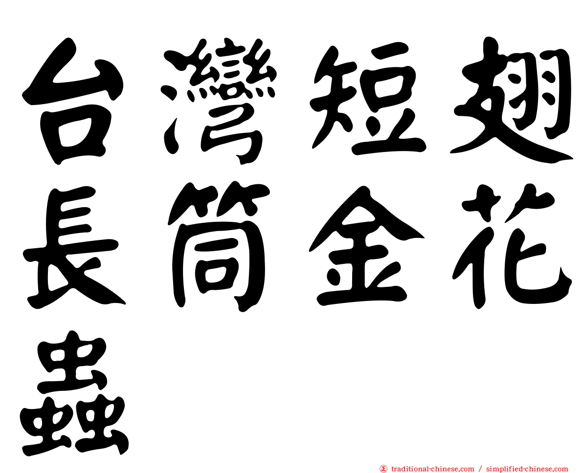 台灣短翅長筒金花蟲