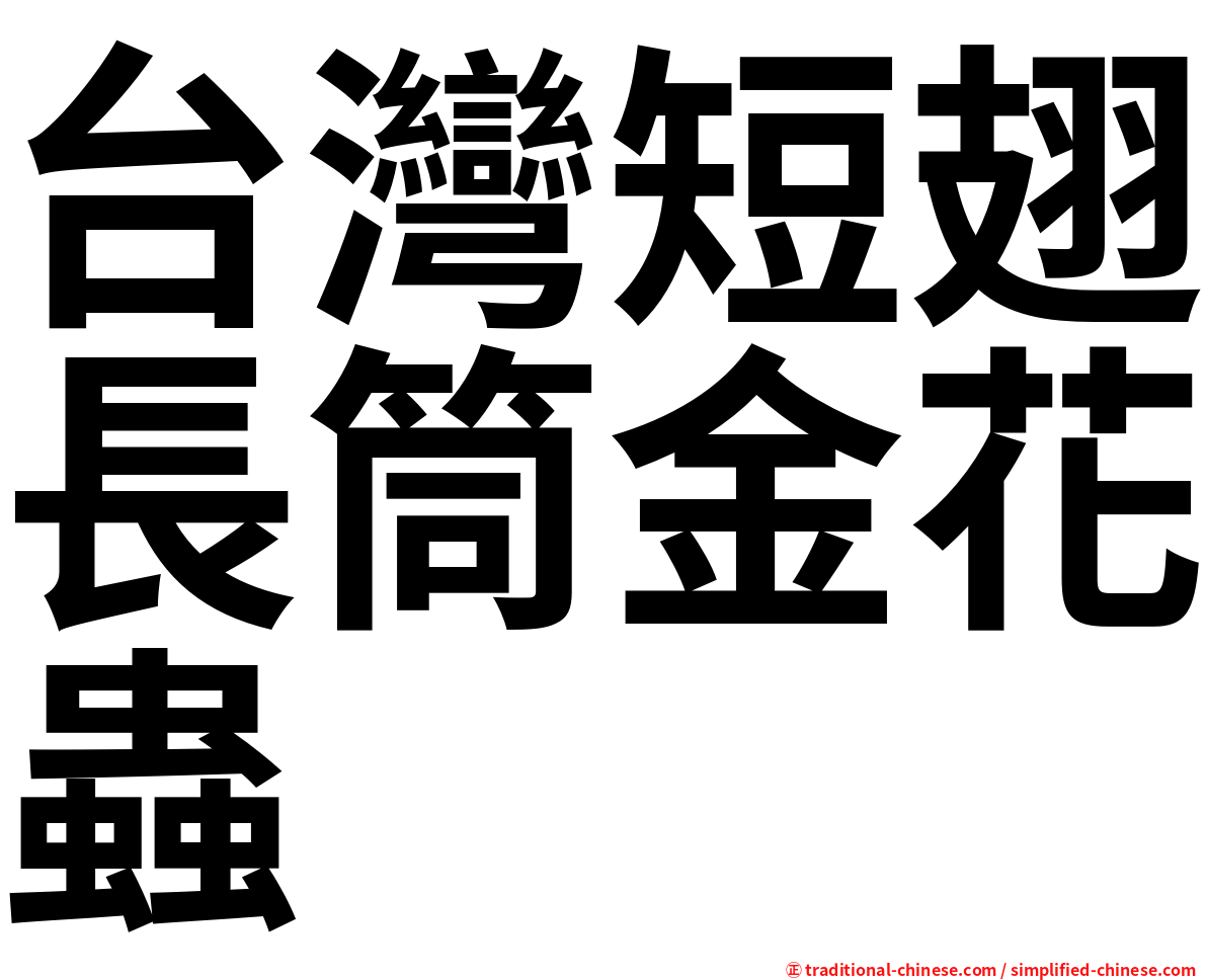 台灣短翅長筒金花蟲