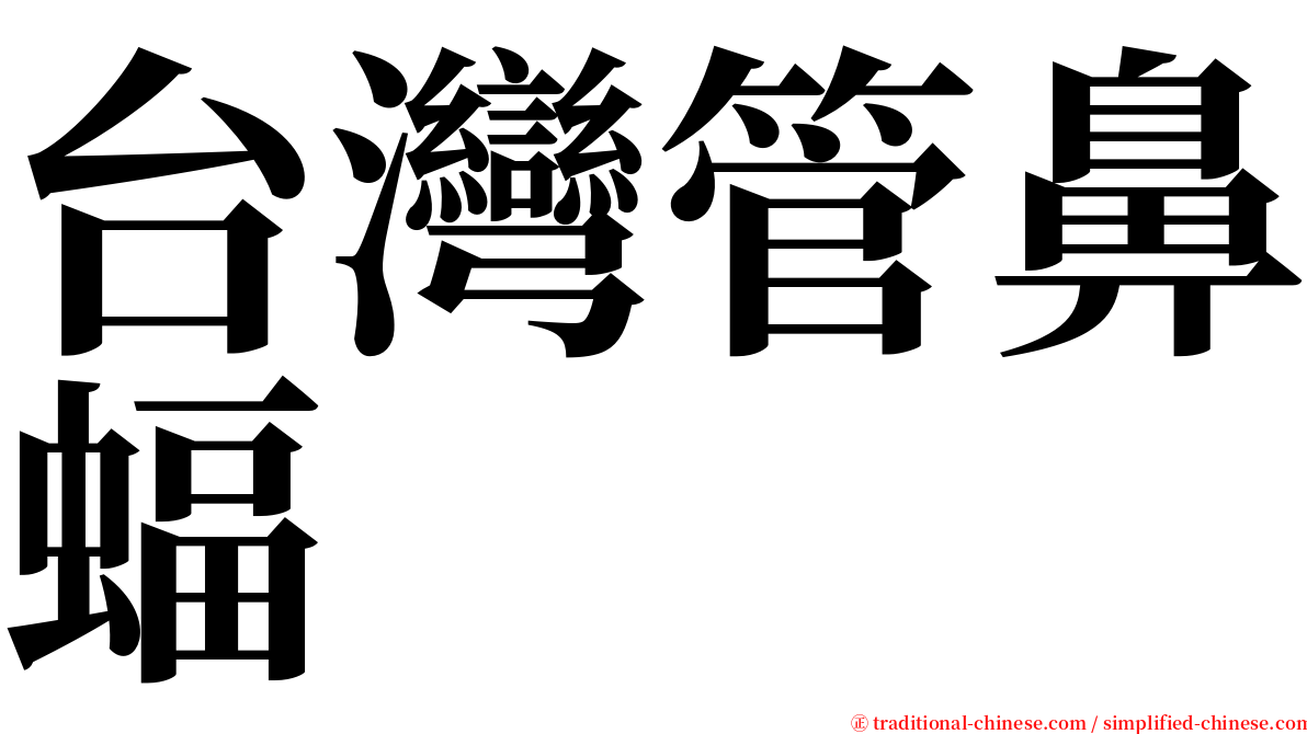 台灣管鼻蝠 serif font