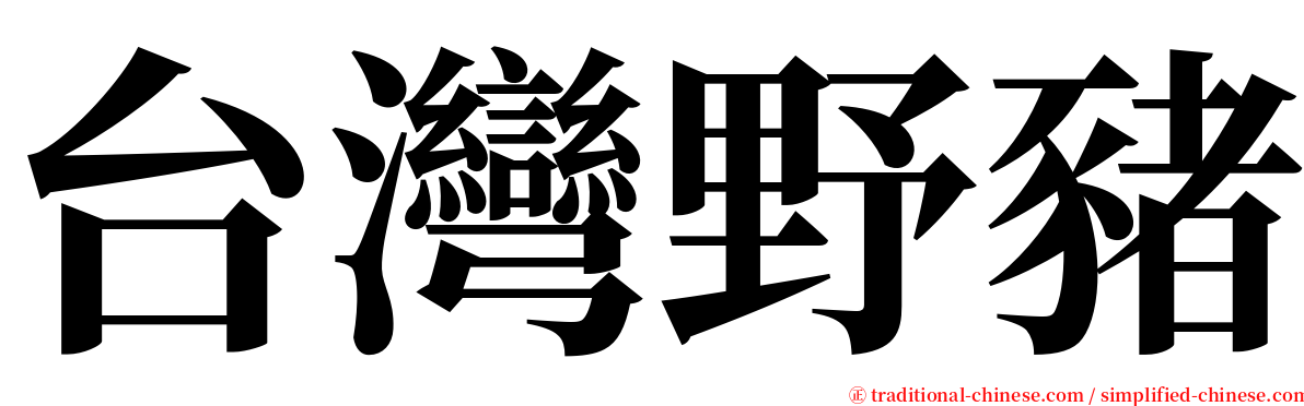 台灣野豬 serif font