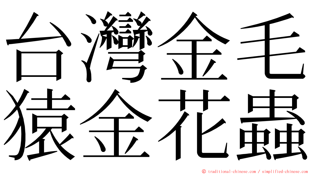 台灣金毛猿金花蟲 ming font