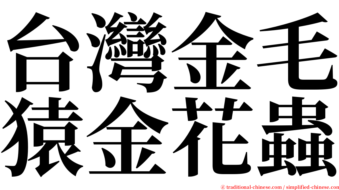 台灣金毛猿金花蟲 serif font