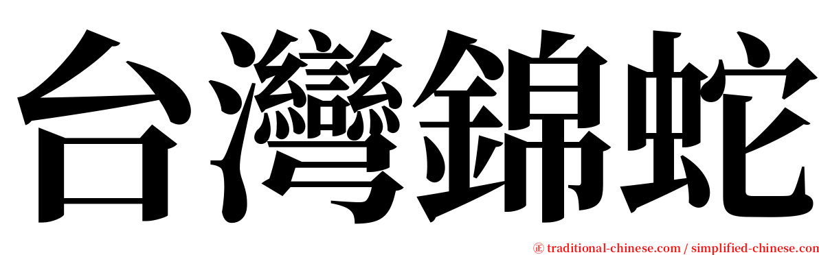 台灣錦蛇 serif font