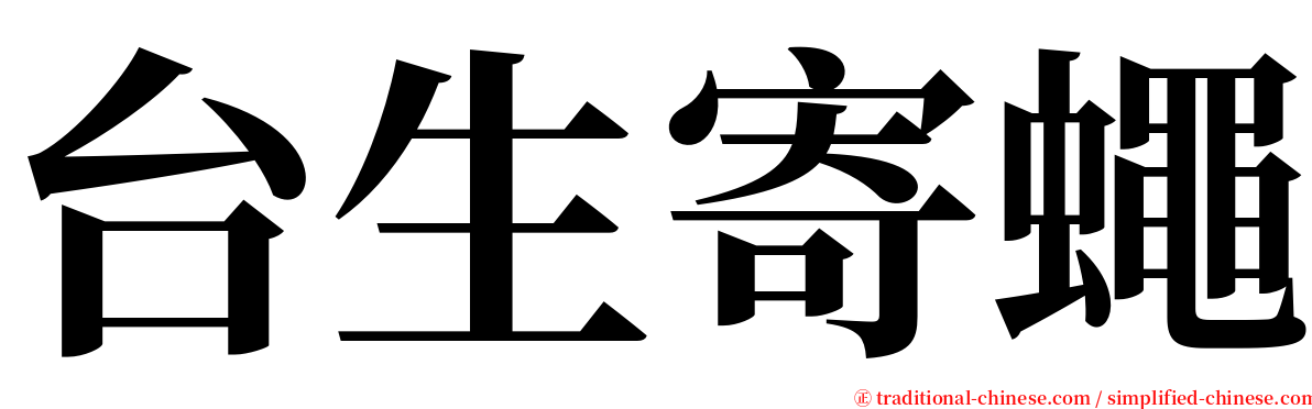 台生寄蠅 serif font