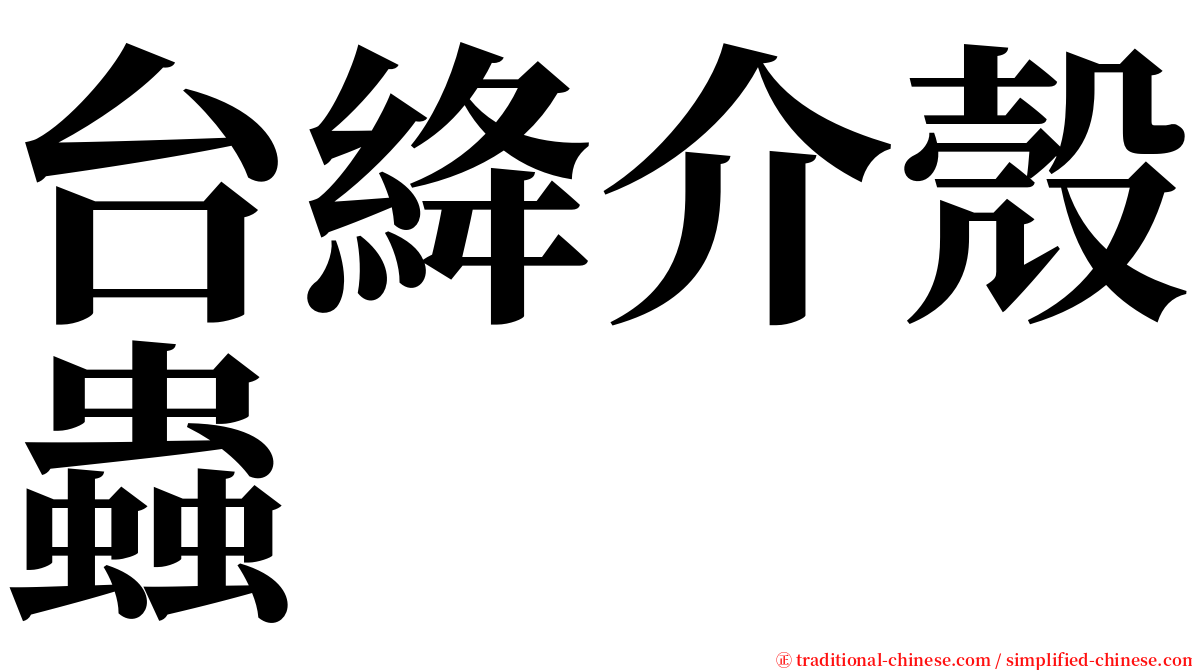 台絳介殼蟲 serif font