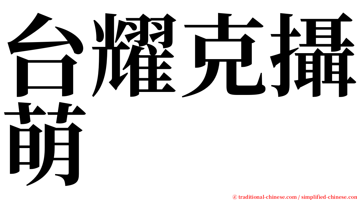 台耀克攝萌 serif font