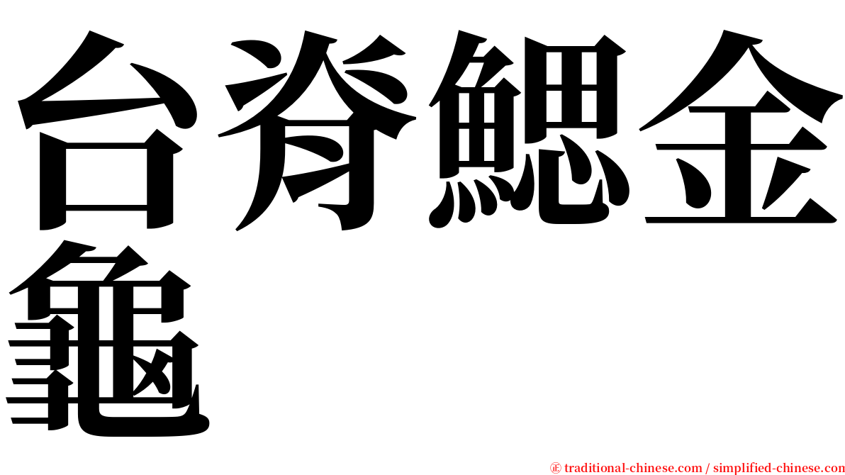 台脊鰓金龜 serif font