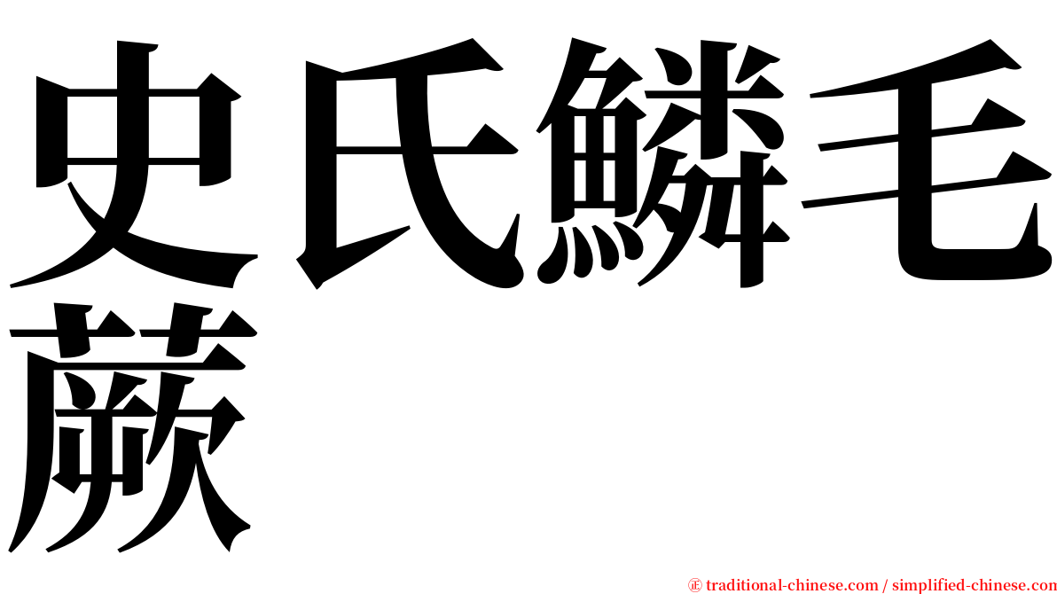 史氏鱗毛蕨 serif font