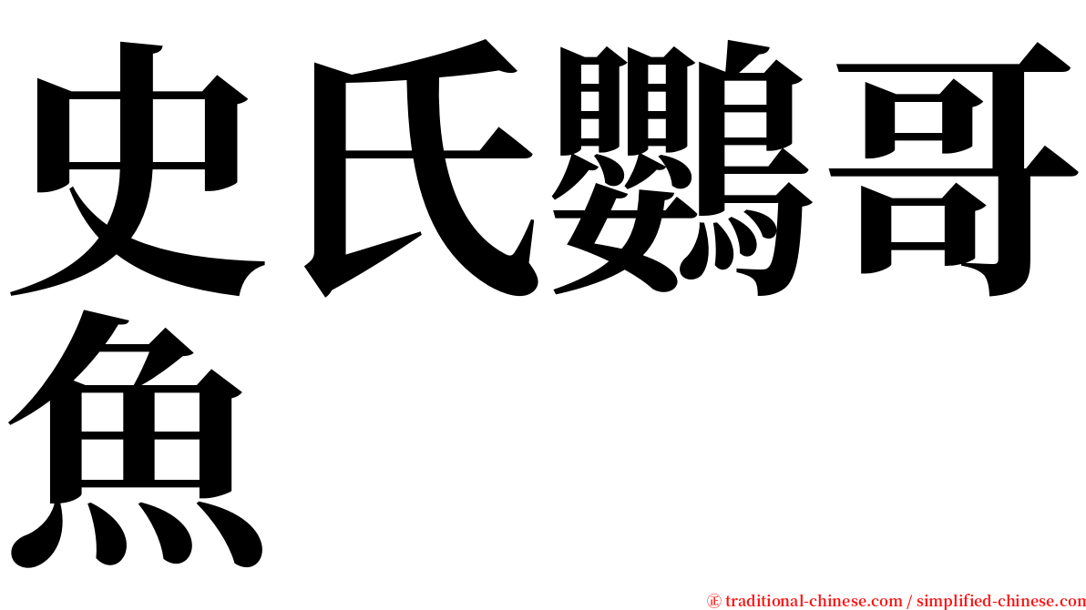 史氏鸚哥魚 serif font