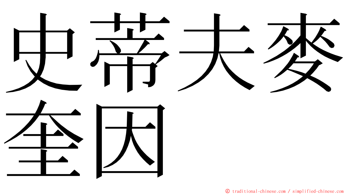 史蒂夫麥奎因 ming font