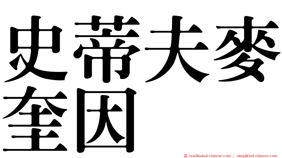 史蒂夫麥奎因