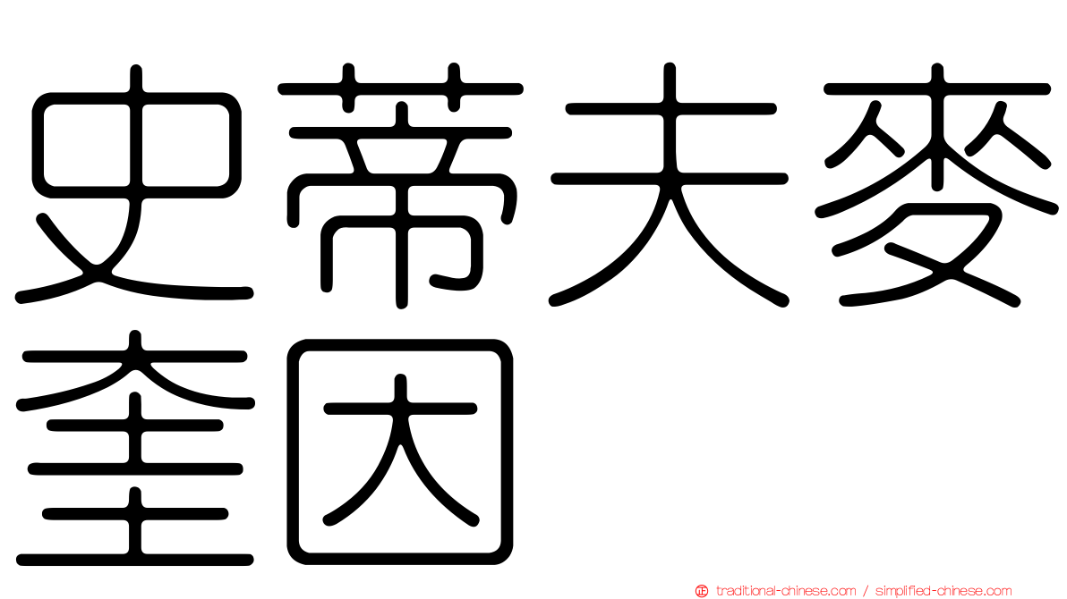 史蒂夫麥奎因