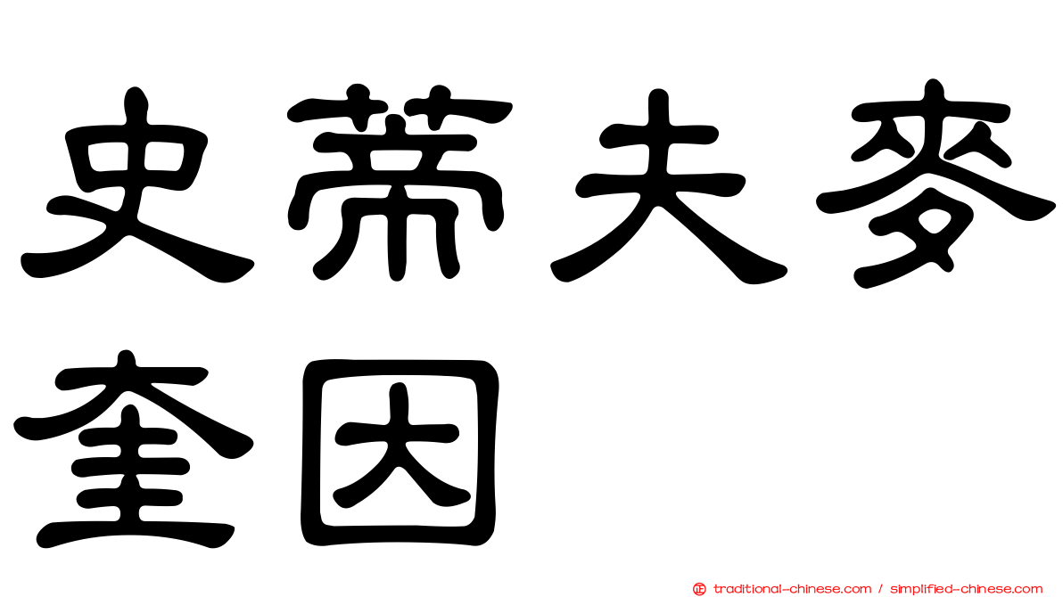 史蒂夫麥奎因
