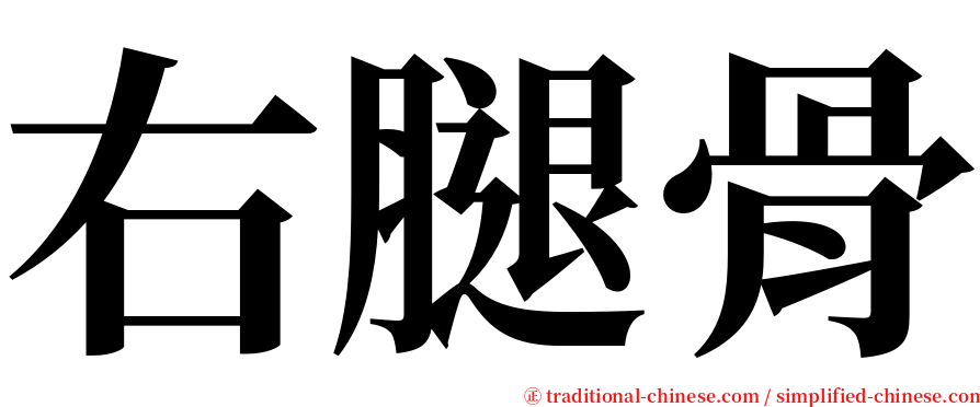 右腿骨 serif font