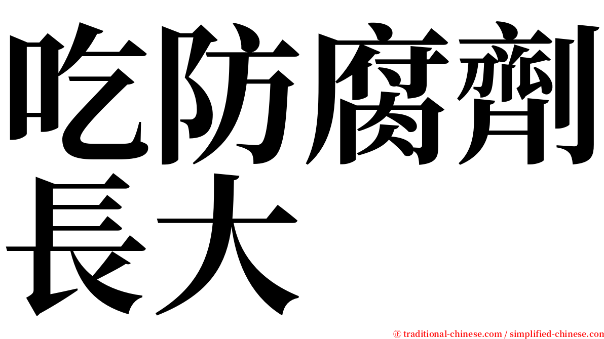 吃防腐劑長大 serif font