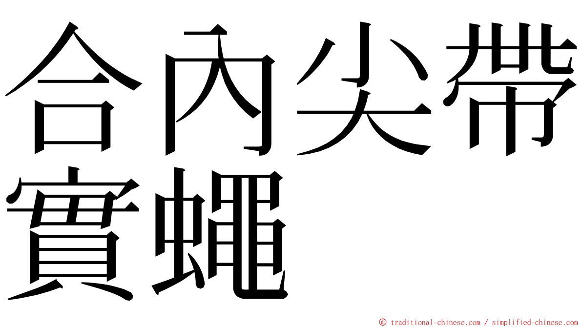 合內尖帶實蠅 ming font