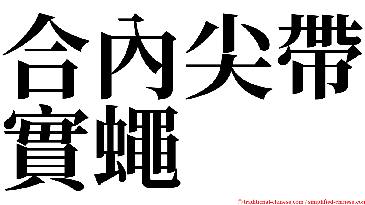 合內尖帶實蠅 serif font