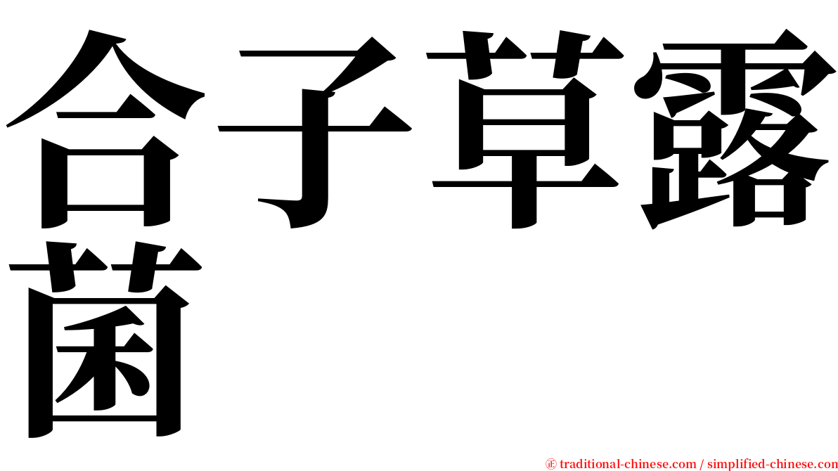 合子草露菌 serif font