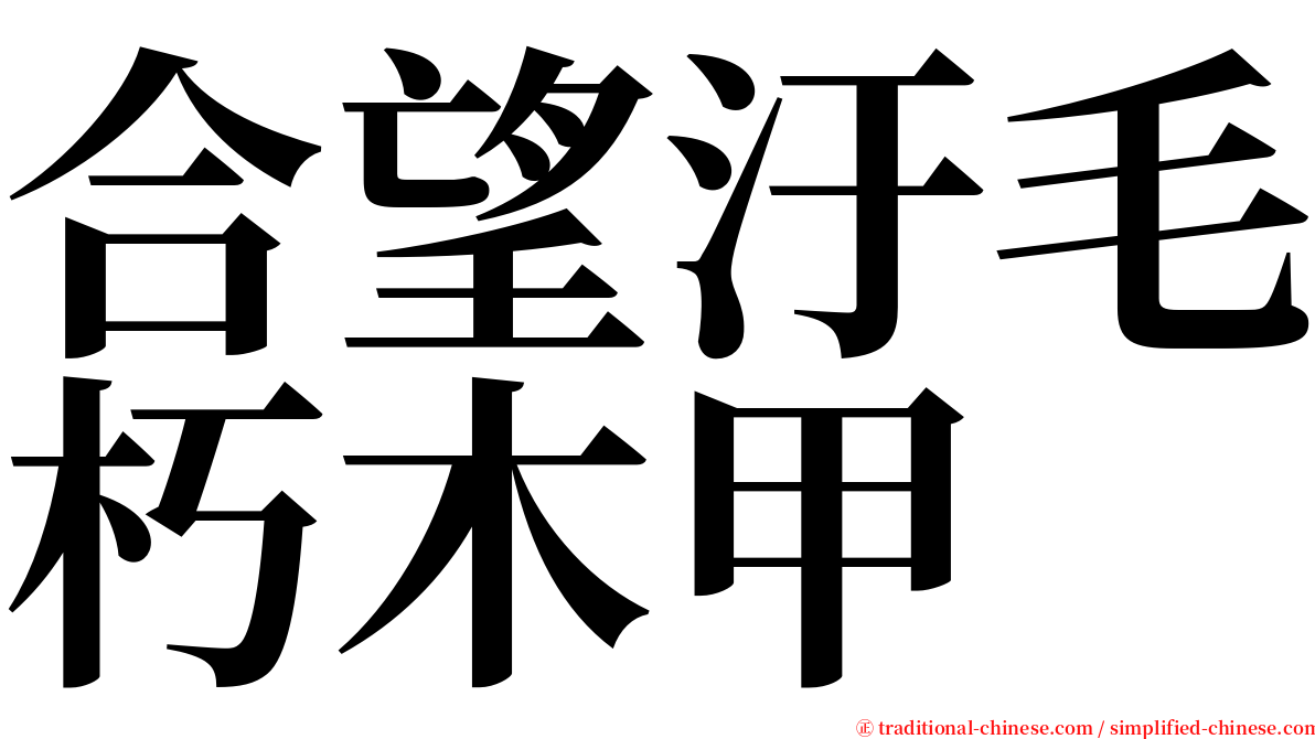 合望汙毛朽木甲 serif font