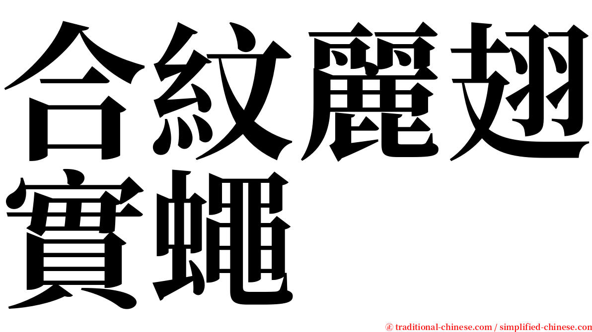 合紋麗翅實蠅 serif font