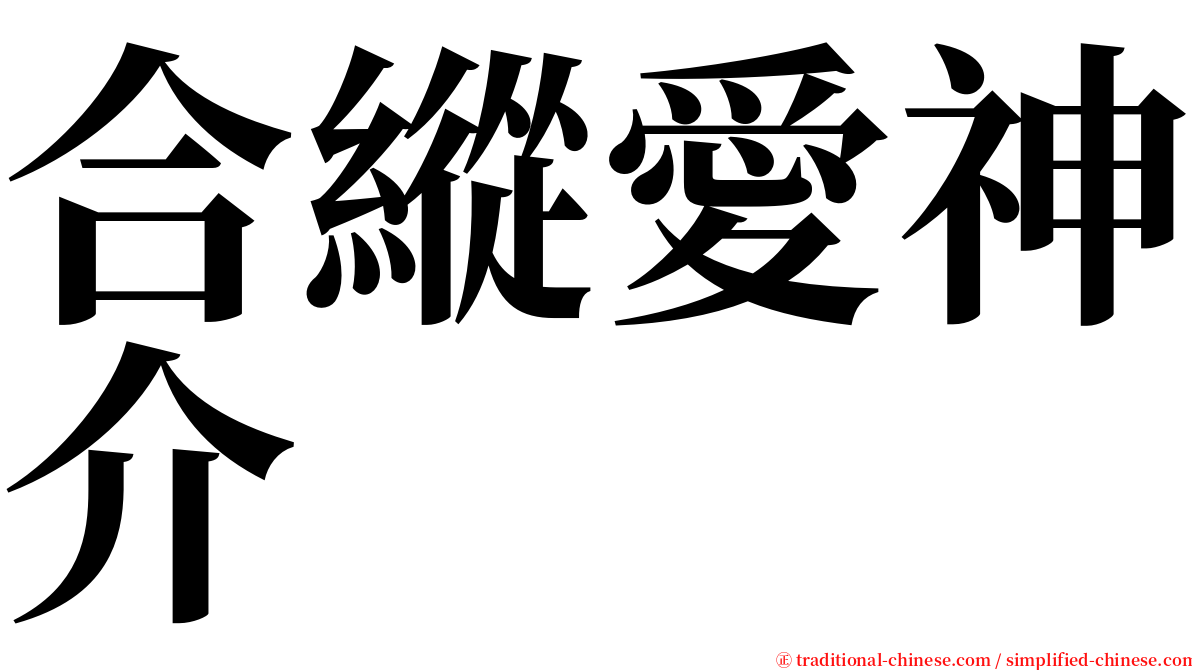 合縱愛神介 serif font