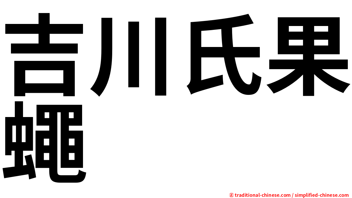 吉川氏果蠅