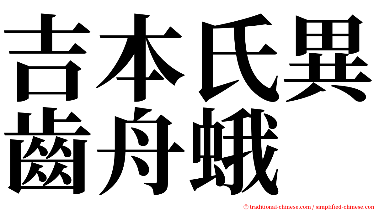 吉本氏異齒舟蛾 serif font