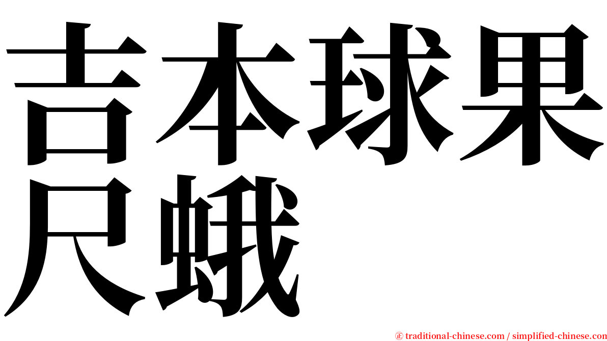 吉本球果尺蛾 serif font