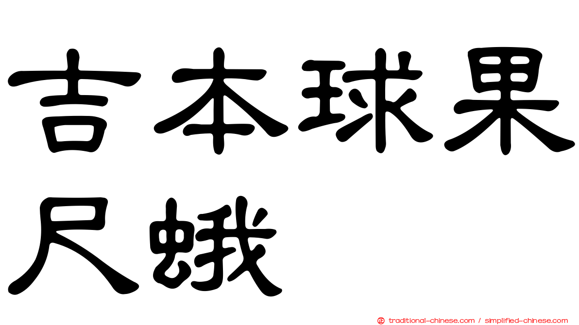 吉本球果尺蛾